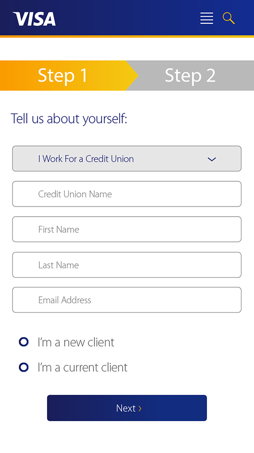 Visa website design